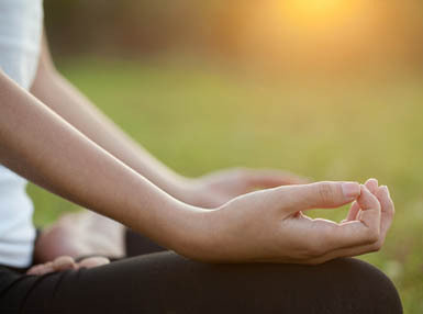 Yoga Beginners Online Bundle, 2 Certificate Courses