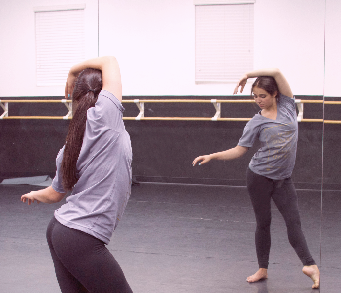 Amazing Print V-Neck (American Apparel)